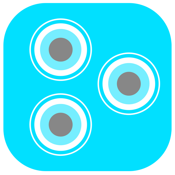 Back Camera Replacement